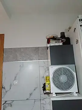 Amelia_3978 live