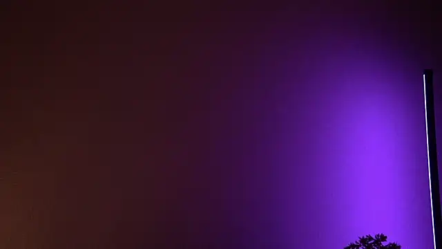 Hi_my_name_is live