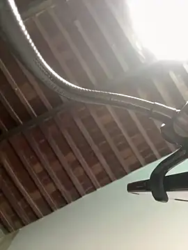 Anglecam live