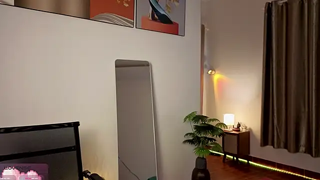 Torilush live