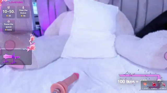 AuroraFlowers live