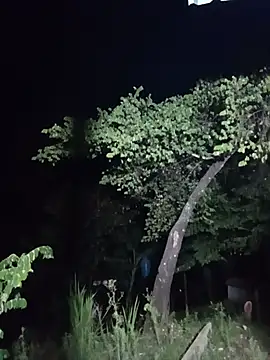 esmeralda_li live