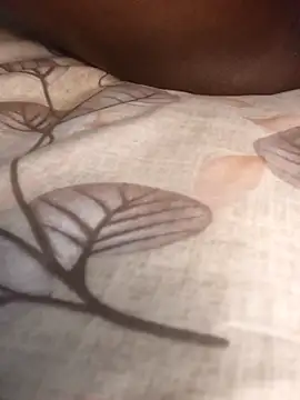 Kadogs live