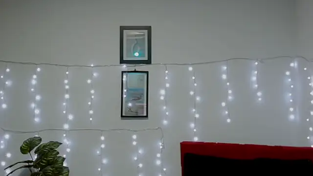 Evanss_lx live