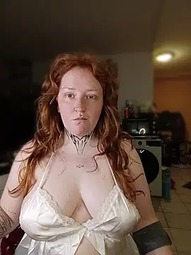 CURVYSAKURA live