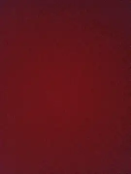 Julianaefu live