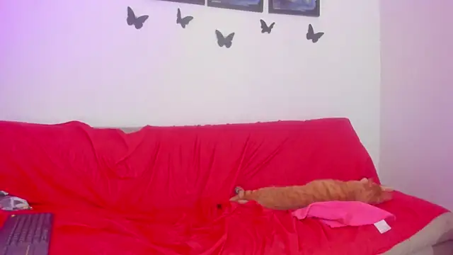 Artemisa__Darks live