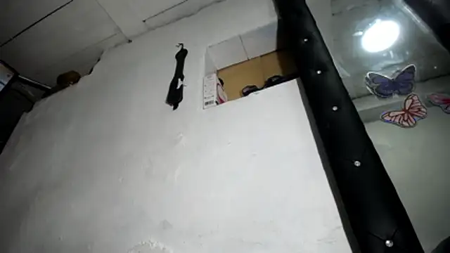 nattashafoxx live