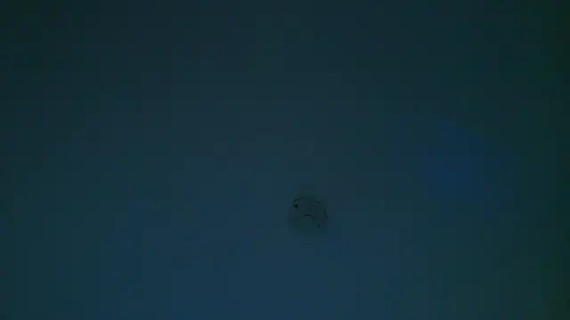 Real_virgin_Pussy live