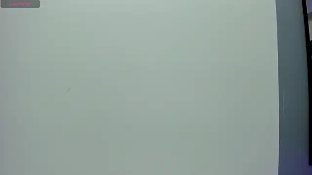 Dante-23 live