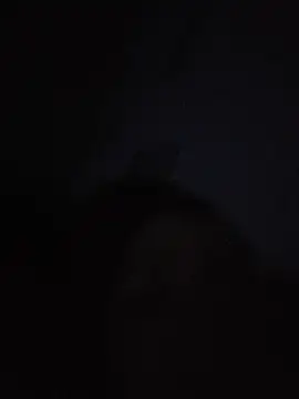 lasexycoquine59 live