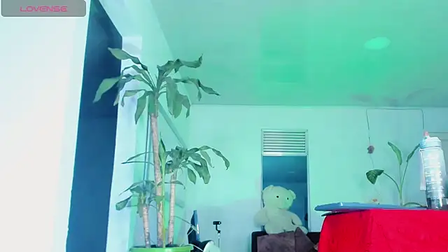 sophiaxxdoll live