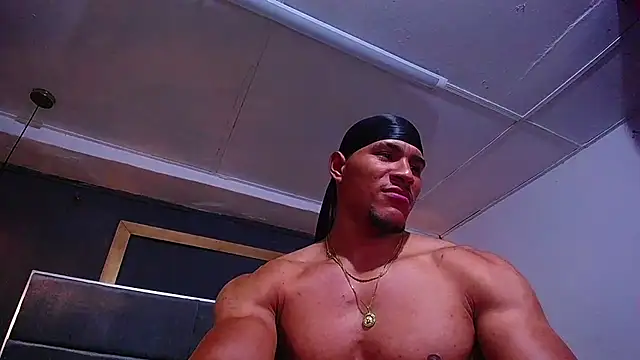 teddyfit19cm live