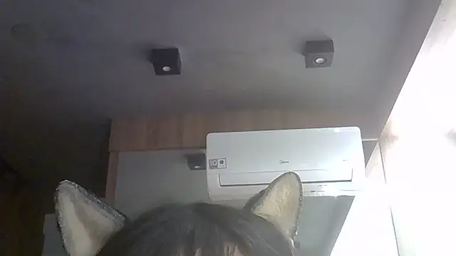 SkinnyKitten live