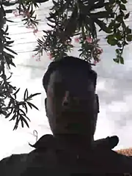 Vickyins480000 live