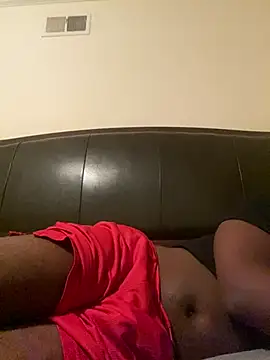 ThickDic28 live
