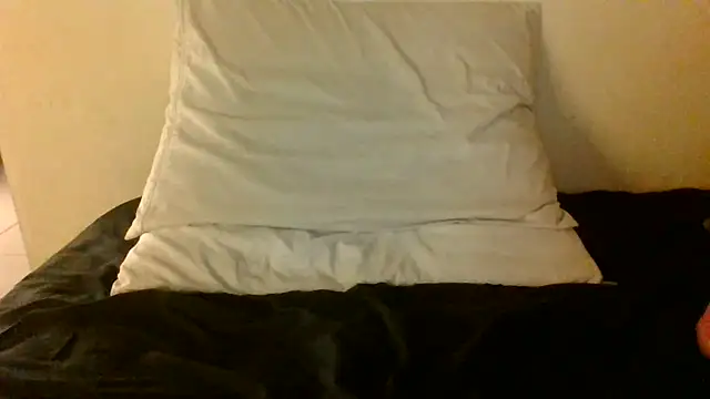 Icepappi live