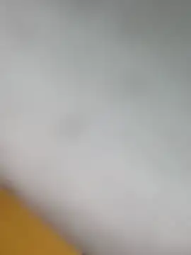 bigdick211292 live
