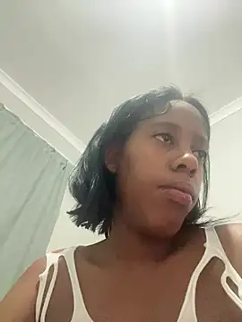 petite_bee live
