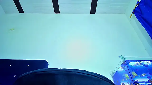Aliice_Doll live