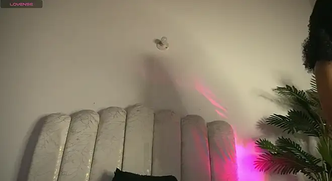 yayoi_cresp18 live