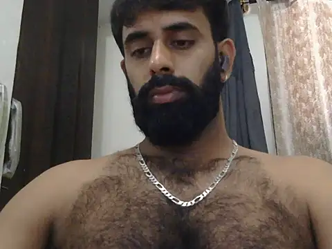 indianhairybull live