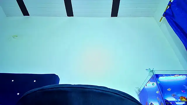 Aliice_Doll live