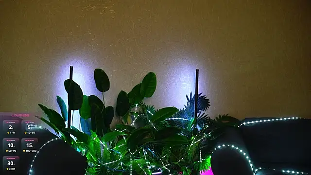 Viola_Becker live
