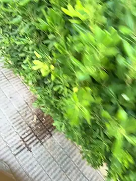 ElPequ7 live