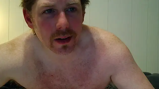 9VOLTT live
