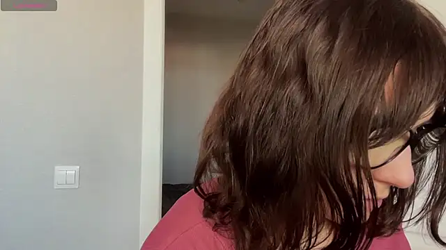 SibleyBurner live