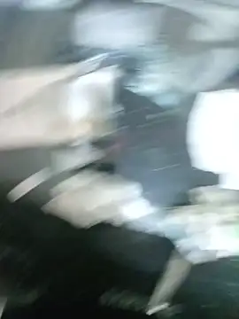 bxbicho20 live