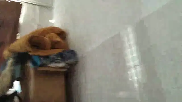 xhqds live