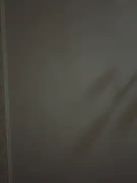 ICEDGLOSS live