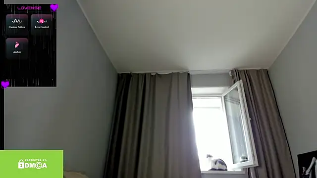 Vanaldienn live