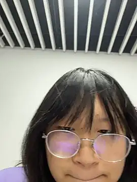 shieru_neko live