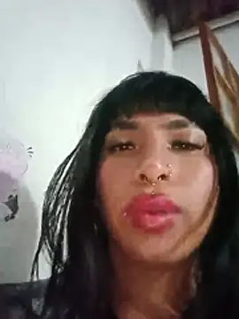 MeelFox live