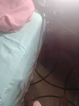 roludoogato live