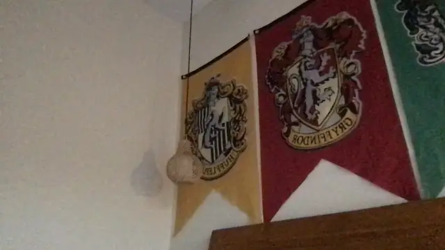 teddy_alan live
