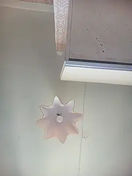 Lauren_Amabel live