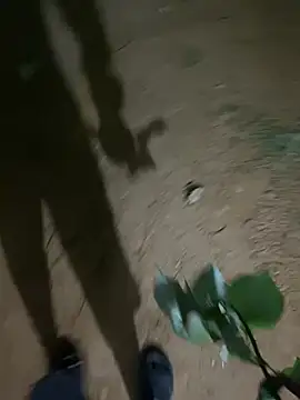 DickMasterfindom live