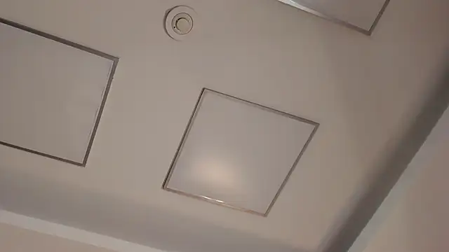 Vanessa_Harr1s live