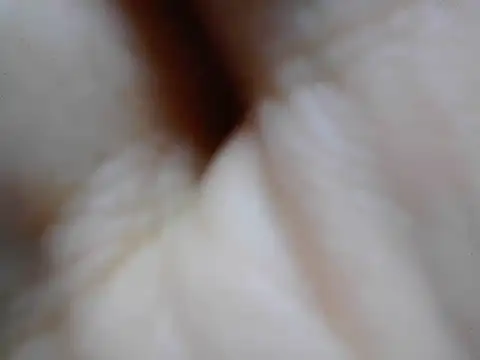 cumslut_selena69 live