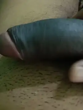 Raajaaryan live