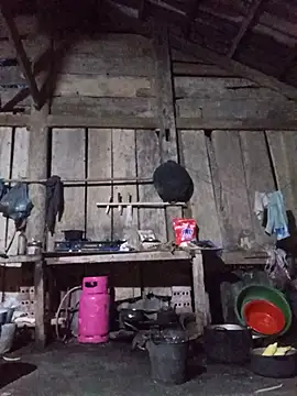 Heli_pusy live