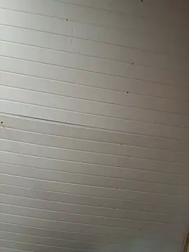 martinhapimenta live