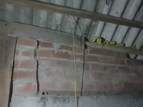 Uyta live