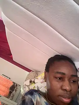 Bjeje live