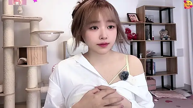 SakuraCat6 live