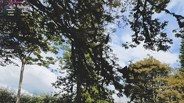 Angiehuston1 live